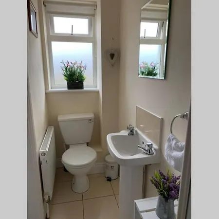 Two Bedroom Town House Beside The River Barrow Holiday home Carlow