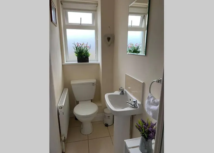 Two Bedroom Town House Beside The River Barrow Semesterbostad Carlow