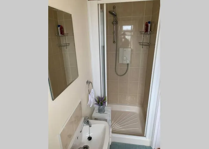 Two Bedroom Town House Beside The River Barrow Semesterbostad *